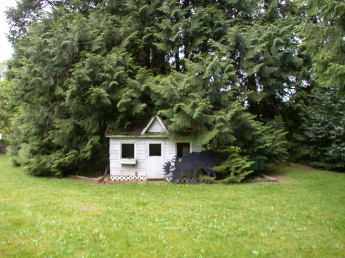 Lower level fireplace